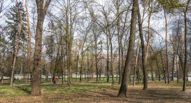 Kiev 'deki Politeknik Parkı' nda ilkbahar