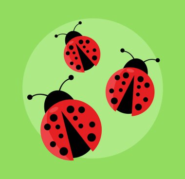 Ladybug vector illustration on green