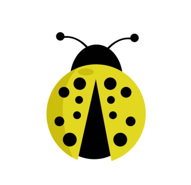 Uğur böceği vektör çizim üzerinde beyaz