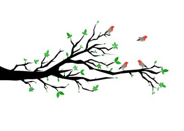 Bahar ağaçlı kuşlar