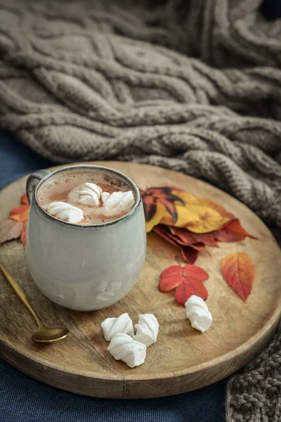 Κύπελλο Νόστιμα Ζεστό Κακάο Marshmallow Και Φθινόπωρο Πολύχρωμα Φύλλα Στρογγυλό — Φωτογραφία Αρχείου