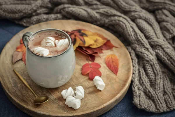 Copo Delicioso Cacau Quente Com Marshmallow Outono Folhas Coloridas Bandeja — Fotografia de Stock