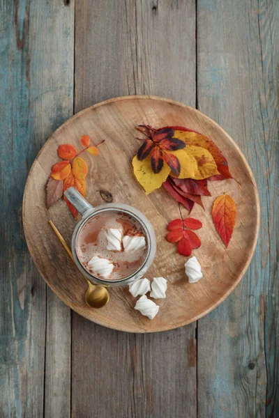 Kopje Heerlijke Warme Cacao Met Marshmallow Herfst Kleurrijke Bladeren Ronde — Stockfoto