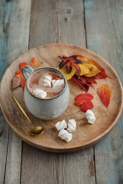 Cup Läcker Varm Kakao Med Marshmallow Och Höst Färgglada Blad — Stockfoto