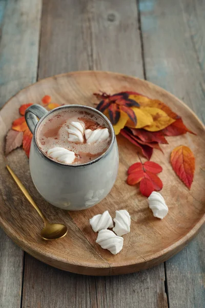 Tazza Deliziosa Cioccolata Calda Con Marshmallow Foglie Colorate Autunnali Vassoio — Foto Stock