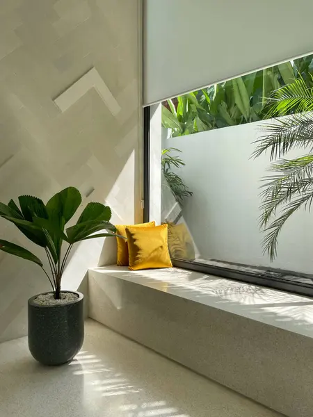 Cozy windowsill with palm tree and pillows indoors. Plants for home