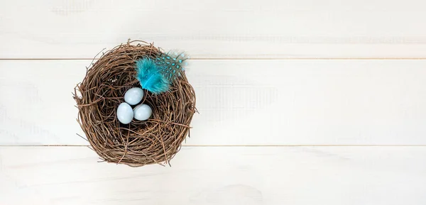 stock image Three small light blue bird eggs in natural nest, on white wooden background. Easter concept with copy space, top view, banner 