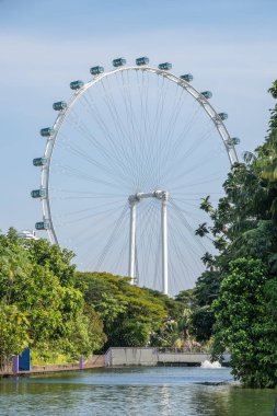 Singapur Flyer, dev bir gözlem çarkı, yemyeşil yemyeşil üzerinde yükselen önplanda manzaralı bir su yolu. Panoramik şehir manzarası sunan ünlü bir cazibe. Dikey bileşim. .