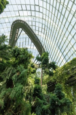 Yeşillik yemyeşil ve Singapur Körfezi yakınlarındaki Gardens 'taki Bulut Ormanı Kubbesi' nin içinde asılmış yürüyüş yolları. Kontrollü bir ortamda tropikal bitki örtüsü olan fütüristik bir cam yapı. Dikey bileşim..