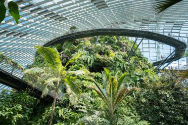 Singapur 'daki Gardens, Singapur' daki Bulut Ormanı 'nın verimli iç kısımlarında geniş cam bir kubbenin altında yükseltilmiş yürüyüş yolları olan bitki örtüsüyle kaplı tropikal bir dağ yer alıyor. Birincil eko-çekim..