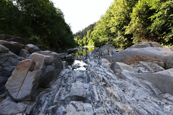 Gorge of the Wetliya River in the Sine Wiry reserve in the Bieszczady Mountains at low water level, characteristic rock thresholds of the Carpathian flysch exposed