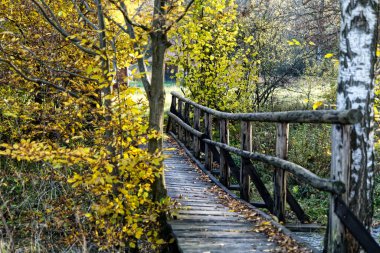 Sonbahar manzarasında küçük bir dağ deresinin üzerinde tahta köprü.