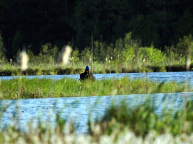 Yalnız bir balıkçı bir bahar günü orman havuzunda balık yakalar..