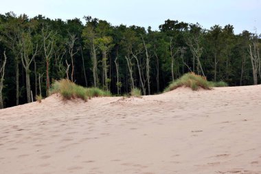 Sowiski Ulusal Parkı, Polonya kıyılarının orta kesiminde yer almaktadır. Polonya kıyılarının orta kesiminde yer almaktadır. Parkın karakteristik özelliklerinden biri de değişen kum tepecikleriyle tükürüğün kumul şerididir..