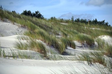 Sowiski Ulusal Parkı, Polonya kıyılarının orta kesiminde yer almaktadır. Polonya kıyılarının orta kesiminde yer almaktadır. Parkın karakteristik özelliklerinden biri de değişen kum tepecikleriyle tükürüğün kumul şerididir..