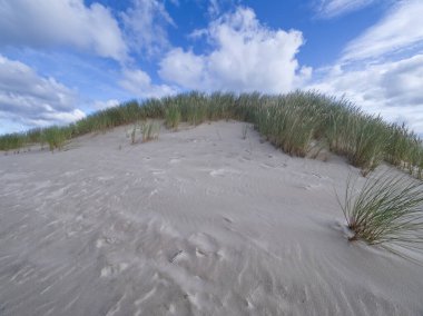 Sowiski Ulusal Parkı, Polonya kıyılarının orta kesiminde yer almaktadır. Polonya kıyılarının orta kesiminde yer almaktadır. Parkın karakteristik özelliklerinden biri de değişen kum tepecikleriyle tükürüğün kumul şerididir..