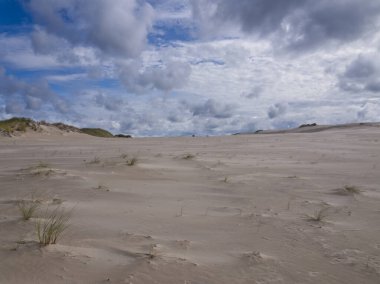 Sowiski National Park is located in the central part of the Polish coast. It is located in the central part of the Polish coast. A characteristic element of the park is the dune strip of the spit with shifting dunes. clipart