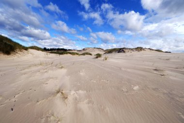 Sowiski Ulusal Parkı, Polonya kıyılarının orta kesiminde yer almaktadır. Polonya kıyılarının orta kesiminde yer almaktadır. Parkın karakteristik özelliklerinden biri de değişen kum tepecikleriyle tükürüğün kumul şerididir..