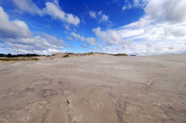 Sowiski Ulusal Parkı, Polonya kıyılarının orta kesiminde yer almaktadır. Polonya kıyılarının orta kesiminde yer almaktadır. Parkın karakteristik özelliklerinden biri de değişen kum tepecikleriyle tükürüğün kumul şerididir..