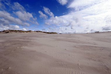 Sowiski National Park is located in the central part of the Polish coast. It is located in the central part of the Polish coast. A characteristic element of the park is the dune strip of the spit with shifting dunes. clipart