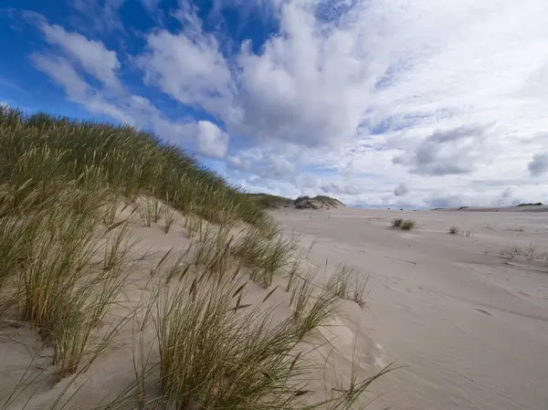 stock image Sowiski National Park is located in the central part of the Polish coast. It is located in the central part of the Polish coast. A characteristic element of the park is the dune strip of the spit with shifting dunes.