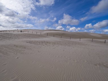 Sowiski National Park is located in the central part of the Polish coast. It is located in the central part of the Polish coast. A characteristic element of the park is the dune strip of the spit with shifting dunes. clipart