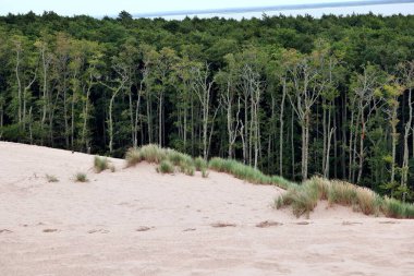 Sowiski Ulusal Parkı, Polonya kıyılarının orta kesiminde yer almaktadır. Polonya kıyılarının orta kesiminde yer almaktadır. Parkın karakteristik özelliklerinden biri de değişen kum tepecikleriyle tükürüğün kumul şerididir..