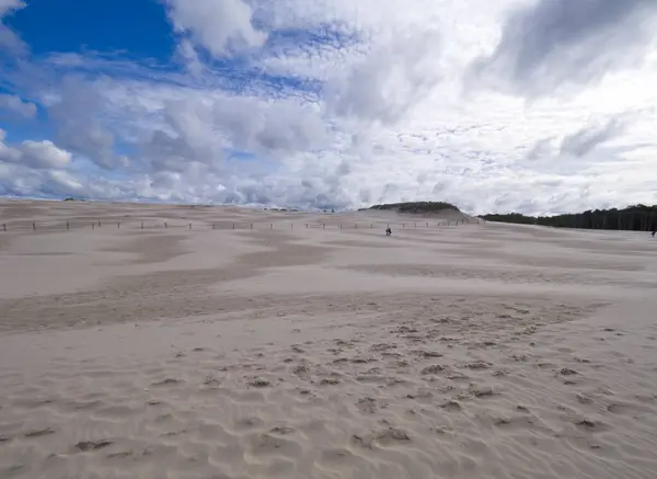 stock image Sowiski National Park is located in the central part of the Polish coast. It is located in the central part of the Polish coast. A characteristic element of the park is the dune strip of the spit with shifting dunes.