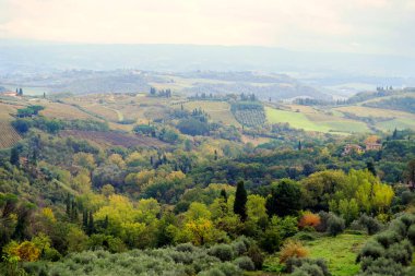 San Gimignano bölgesinden Toskana 'nın karakteristik manzaraları.