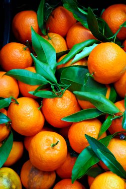 Pazar meydanında farklı turunçgiller, limonlar, portakallar, narlar ve kivilerin güzel çeşitleri var.