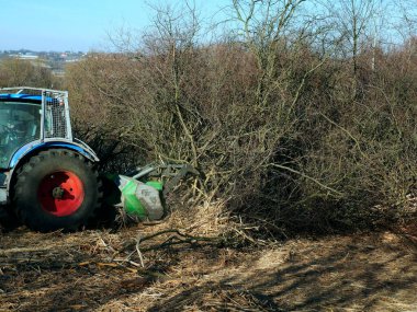 Güçlü bir traktöre bağlı profesyonel bir öğütücü kullanarak dalları budarak, kopararak ve meyve bahçesinde parçalayarak..