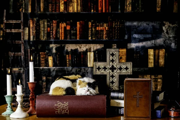 Retro Könyvtár Halom Bibliával Calico Macska Égő Gyertyákkal Kereszt — Stock Fotó