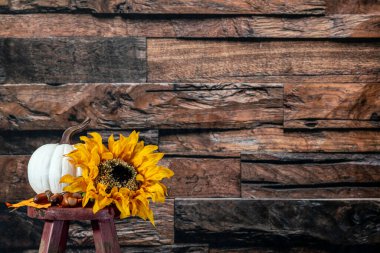 Beyaz balkabağı ve sarı ayçiçeği kırsal kırmızı taburede eski ahşap arka planda ve kopyası için yer var.