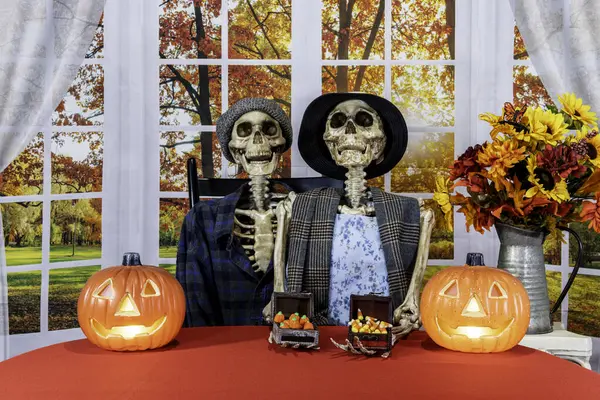 two Halloween skeletons with jack-o-lanterns and candy corn ready for trick or treat with large autumn window background
