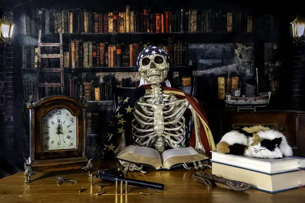 skeleton with American flag reading boo at table with calico cat and revolver with old library background