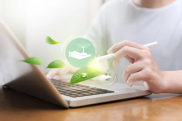 Genç çocuk çevrimiçi kontrol listesi yapmak için dizüstü bilgisayar kullanıyor, sınavlara giriyor, online anketler yapıyor, soruları dijital formda cevaplıyor..