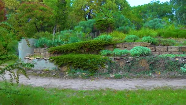 Peisaj Grădină Tobogan Diferite Plante Ornamentale — Videoclip de stoc