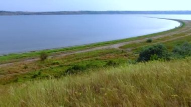 Ukrayna 'nın Tiligul nehrinin kıyısındaki bozkır bitkilerinden vahşi fordlar