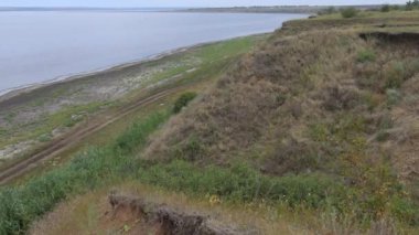 Ukrayna 'nın Tiligul nehrinin kıyısındaki bozkır bitkilerinden vahşi fordlar