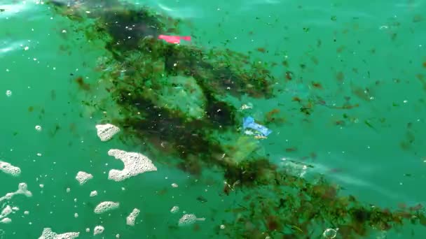 Plastikmüll Wasser Tötet Wildtiere Plastikmüll Und Andere Unter Wasser Treibende — Stockvideo