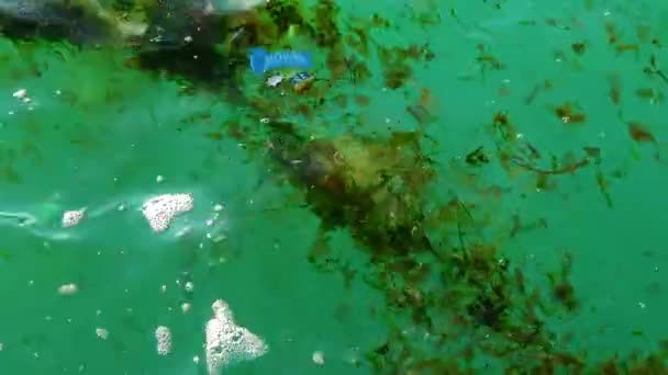 Plastikmüll Wasser Tötet Wildtiere Plastikmüll Und Andere Unter Wasser Treibende — Stockvideo