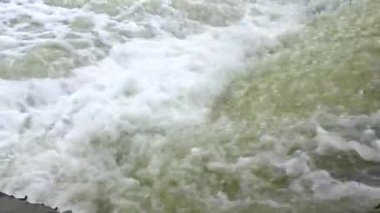 Tedavi edilmemiş pis ve pis kokulu kanalizasyon bir boru aracılığıyla doğal bir rezervuara, Khadzhibey Estuary 'ye boşaltılır. Vahşi yaşam ekolojisi, Ukrayna