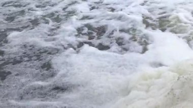 Tedavi edilmemiş pis ve pis kokulu kanalizasyon bir boru aracılığıyla doğal bir rezervuara, Khadzhibey Estuary 'ye boşaltılır. Vahşi yaşam ekolojisi, Ukrayna
