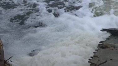 Tedavi edilmemiş pis ve pis kokulu kanalizasyon bir boru aracılığıyla doğal bir rezervuara, Khadzhibey Estuary 'ye boşaltılır. Vahşi yaşam ekolojisi, Ukrayna