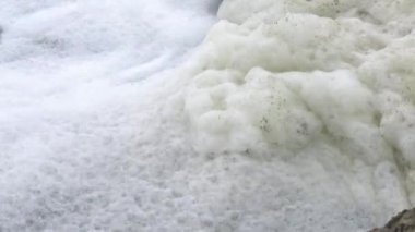 Tedavi edilmemiş pis ve pis kokulu kanalizasyon bir boru aracılığıyla doğal bir rezervuara, Khadzhibey Estuary 'ye boşaltılır. Vahşi yaşam ekolojisi, Ukrayna