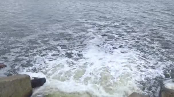 Obehandlat Smutsigt Och Illaluktande Avloppsvatten Släpps Genom Ett Rör Naturlig — Stockvideo