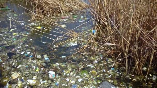 Umweltverschmutzung Müll Und Plastik Treiben Wasser — Stockvideo