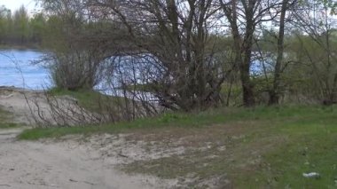 Nehir kıyısında plastik döküntüler. Doğanın kirliliği