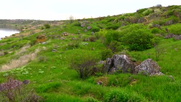 Krajobraz Dzikiej Przyrody Wybrzeże Zbocza Roślinnością Stepową Ujścia Khadzhibey — Wideo stockowe