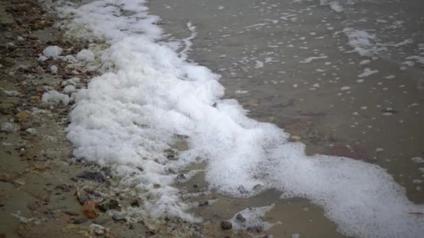 脏水和泡沫在湖中 富营养化和污染的天然水库 — 图库视频影像